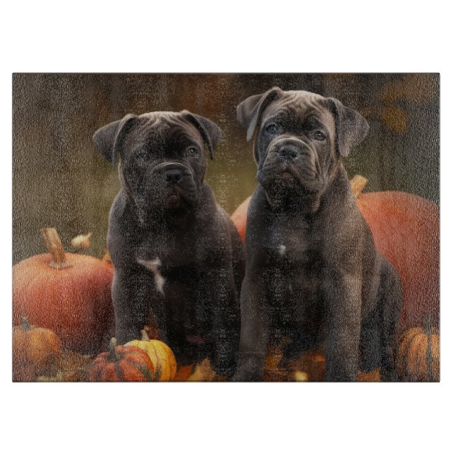 Cane Corso Valp Höstglädje Pumpa (Framsidan)