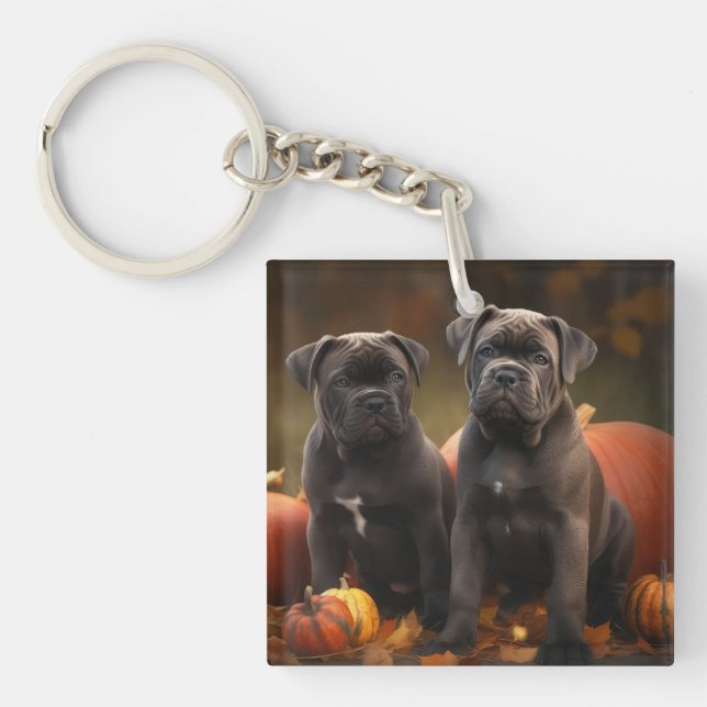 Cane Corso Valp Höstglädje Pumpa (Framsidan)
