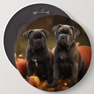 Cane Corso Valp Höstglädje Pumpa Knapp