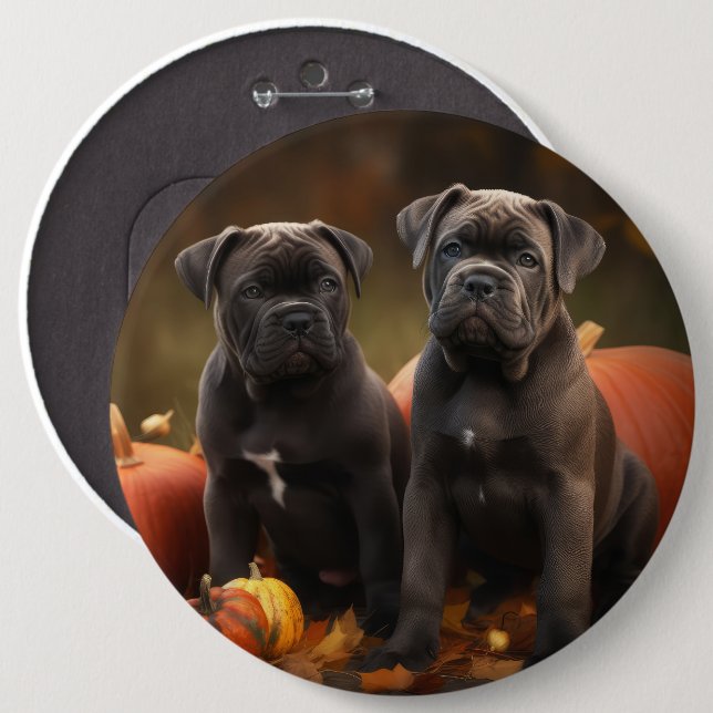 Cane Corso Valp Höstglädje Pumpa Knapp (Framsida & baksida)