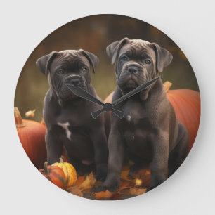 Cane Corso Valp Höstglädje Pumpa Stor Klocka
