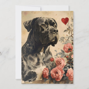Cane Corso Vintage Alla hjärtans dag Julkort