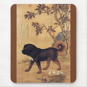 Cangni 苍 猊 ~ Tibetan Mastiff ~ Giuseppe Castiglion Musmatta
