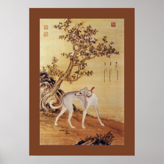 Cangshuiqiu 苍 水 ~ Greyhound ~Giuseppe Castiglione~ Poster