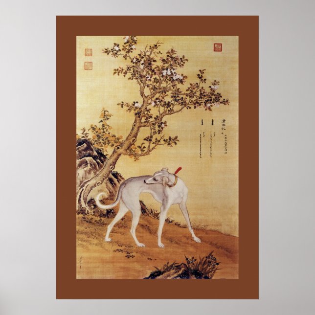 Cangshuiqiu 苍 水 ~ Greyhound ~Giuseppe Castiglione~ Poster (Framsidan)