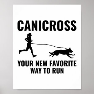 Canicross Trail Running Springer Hund Sport utomhu Poster