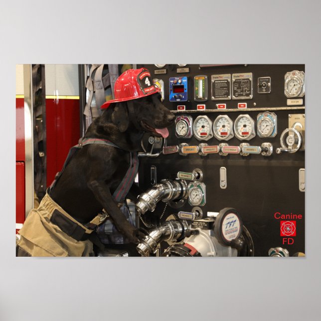 Canine Fire Department Poster (Framsidan)
