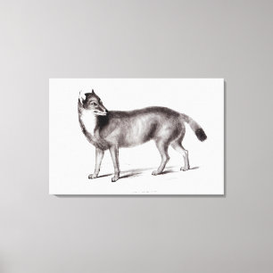 Canis Antarcticus Canvastryck