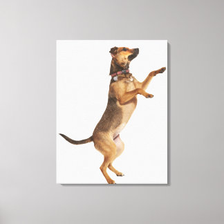 Canis familiaris 2 canvastryck