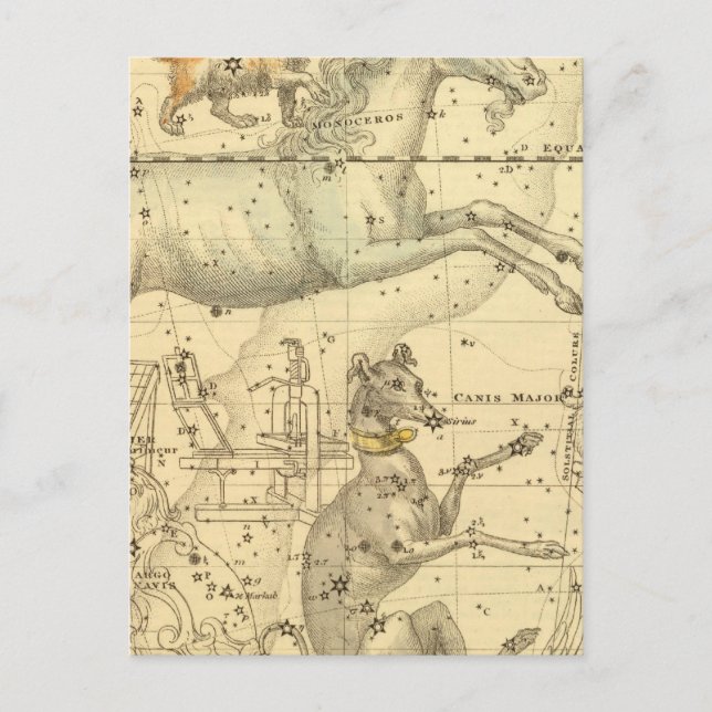 Canis Major, Canis Minor, Monoceros, Argo Navis Vykort (Framsida)