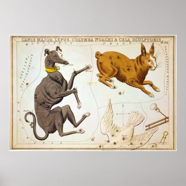 Canis Major, Lepus, Columba Noachi & Cela Sculptor Poster (Framsidan)
