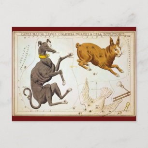 Canis Major, Lepus, Columba Noachi & Cela Sculptor Vykort