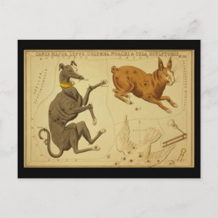Canis Major, Lepus, Columba Noachi Cela Sculptoris Vykort