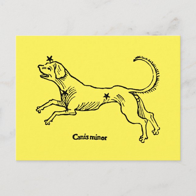 Canis Minor, 1482 Vykort (Framsida)