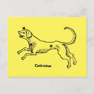Canis Minor, 1482 Vykort