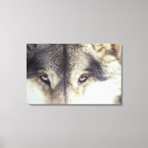 CanisLupus Canvastryck