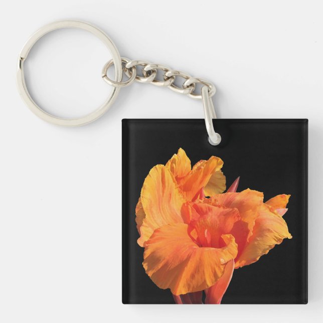 Canna (Framsidan)