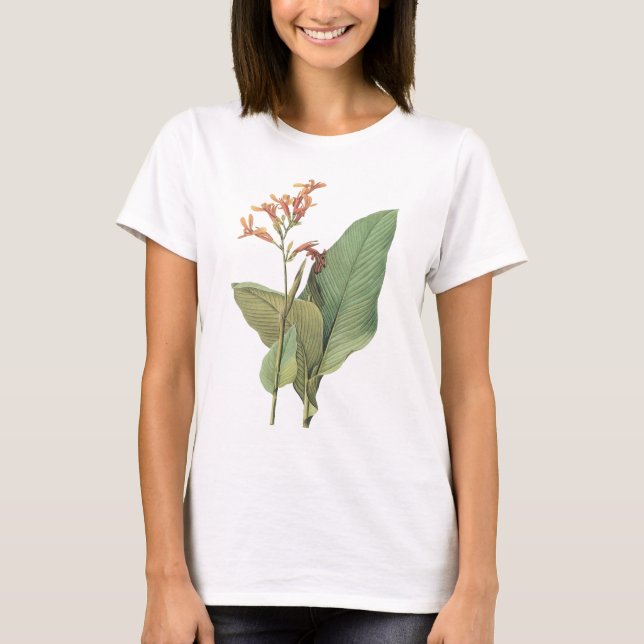 canna (Canna gigantea) av Redouté Tee Shirt (Framsida)