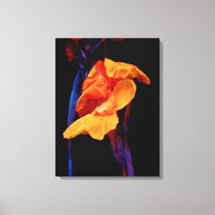 Canna Lilies on Black with Blue Canvastryck