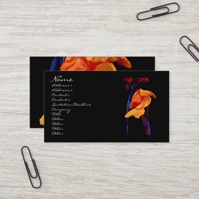 Canna Lilies on Black with Blue Visitkort (Fram/Back In Situ)