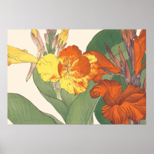 Canna lilja poster