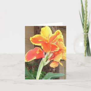 Canna liljanotecard kort