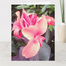 Canna Lily Photo BIG Card & Insp foto/ord bakre Kort