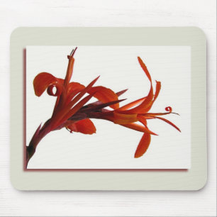 Canna Mousepad Musmatta