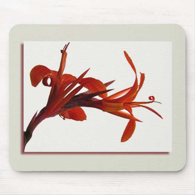 Canna Mousepad Musmatta (Framsidan)