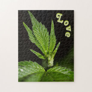 Canna Puzzon Pussel