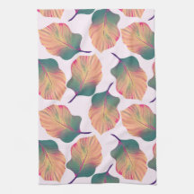 Canna Tropicanna Löv i Pastel