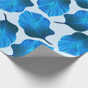 Canna Tropicanna Tropical Löv in Blue Presentpapper