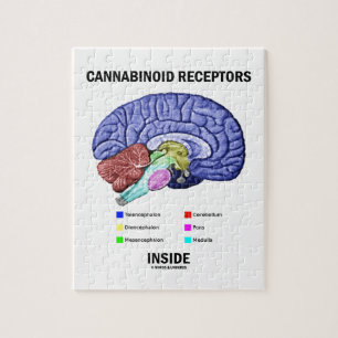 Cannabinoid Receptorsinsida (hjärnanatomi) Pussel