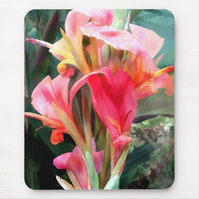 Cannas söt i rosor musmatta (Framsidan)
