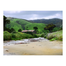 Cannibal Bay : Caitlins : Nya Zeeland Poster