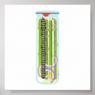 Canning Food - Picked Asparagus Poster