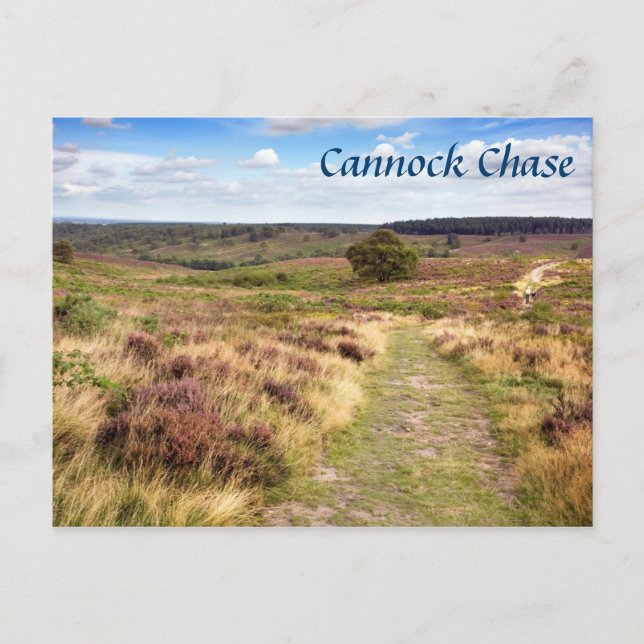 Cannock Chase i fotot av StaffordDshire souvenir Vykort (Framsida)