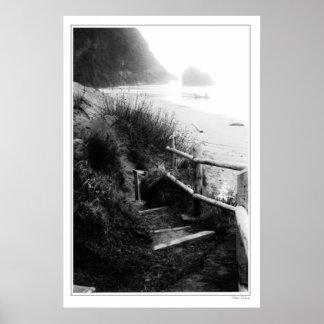 Cannon Beach, ELLER Poster
