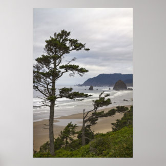 Cannon Beach från Tolovana i Oregon Pacific Ocean Poster