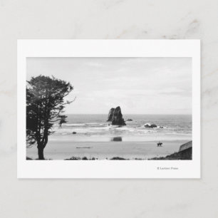 Cannon Beach, Oregon Scene med Nål Vykort
