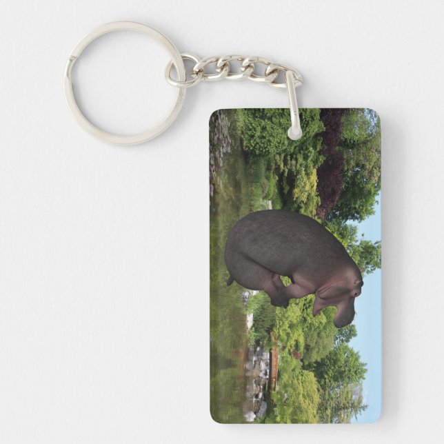Cannonball Hippo (Framsidan)