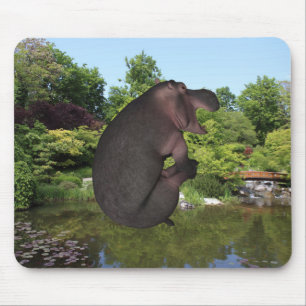Cannonball Hippo Musmatta