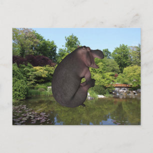 Cannonball Hippo Vykort