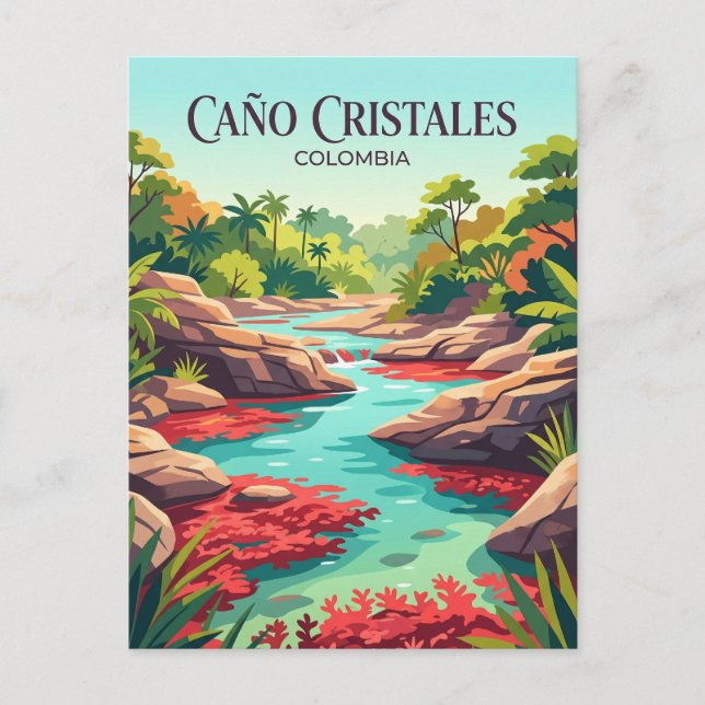 Caño Cristales Colombia Vykort (Framsida)