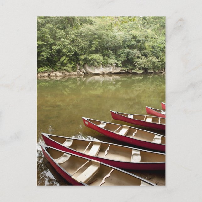 Canoeing the Macal River, Belize Vykort (Framsida)