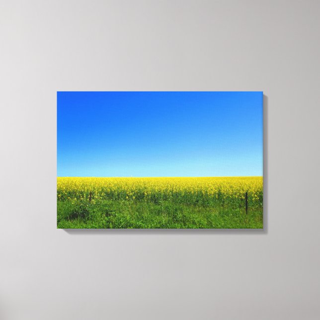 Canola Fält Canvastryck (Framsida)