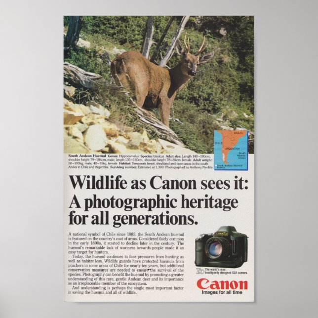 Canon-kamera 1980-talets reklamfilm, retro antique poster (Framsidan)