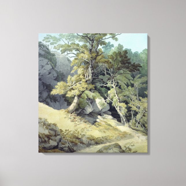 Canonteign, Devon Canvastryck (Framsida)