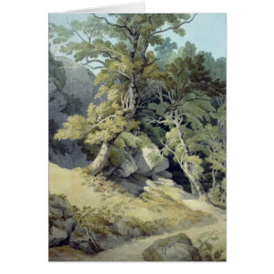 Canonteign Devon Hälsningskort