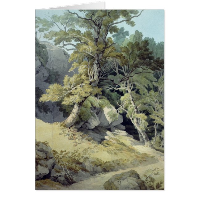 Canonteign Devon Hälsningskort (Framsidan)